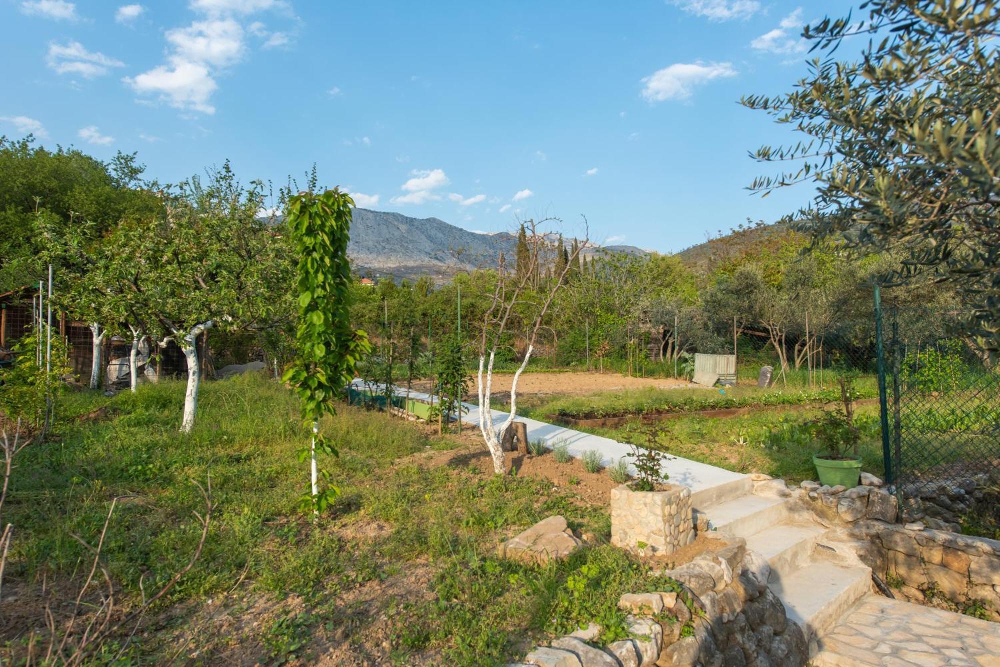 Peace Point Villa Zrnovnica Exterior photo